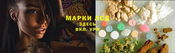 PSILOCYBIN Гусев